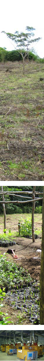 example of renewable projects undertaken by blackwell-wiley
