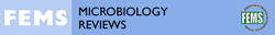 FEMS Microbiology Reviews
