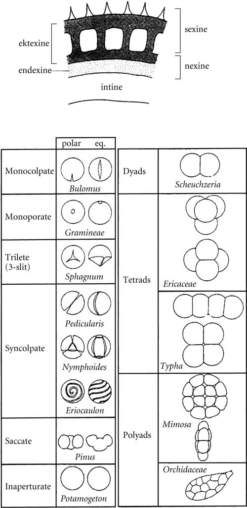 Best Custom Academic Essay Writing Help & Writing Services UK Online
