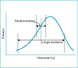 adaptive_evolution_model.jpg