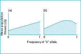 adaptive_topography.jpg