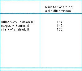 amino_acid_differences.jpg