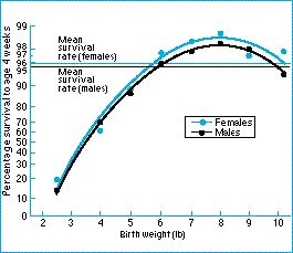 birth_weights.jpg