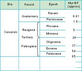 cainozoic_era.jpg