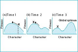 constraints_on_adaptation.jpg