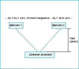 dna_evolution.jpg