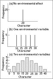 environmental_effects.jpg