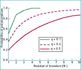 Founder Effect And Genetic Bottleneck Are Examples Of