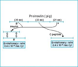 insulin.jpg