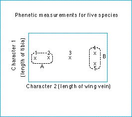 numerical_phenetics.jpg