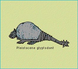 pleistocene_glyptodont.jpg