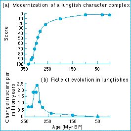 rate_of_evolution.jpg