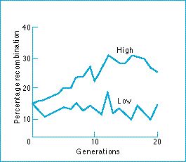 recombination_rates.jpg