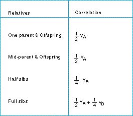 relative_covariance.jpg