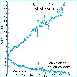 Directional Selection Examples