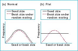 sympatric_speciation.jpg