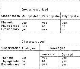  taxonomic