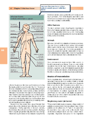 A page from the sample chapter.