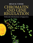 Chromatin and Gene Regulation