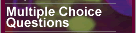 Multiple Choice Questions