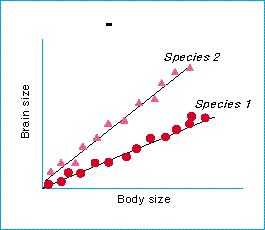 allometric_relations.jpg