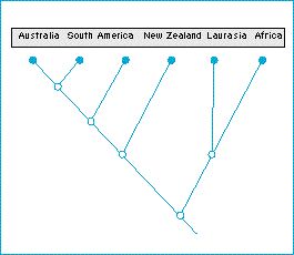 area_cladogram.jpg