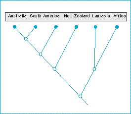 area_cladogram.jpg