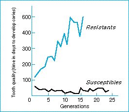 artificial_selection.jpg