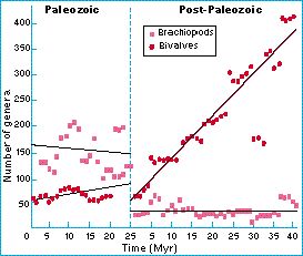 brachipod_bivalve_numbers.jpg