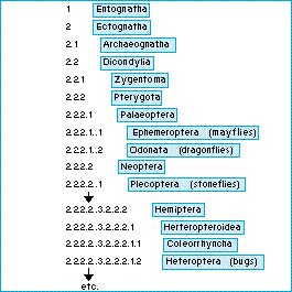 cladistic_insects.jpg