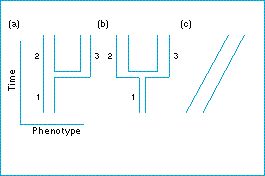 cladistic_species_concept.jpg