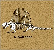 dimetrodon.jpg