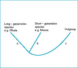 evolutionary_changes.jpg