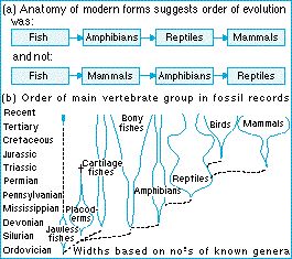 evolutionary_inference.jpg