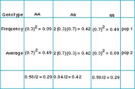 genotype_frequencies.jpg