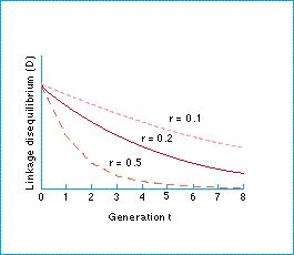 linkage_disequilibrium_decay.jpg