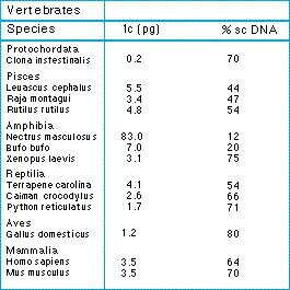 non-coding_DNA.jpg