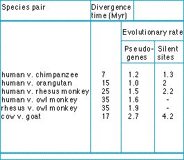 pseudogene_evolution.jpg