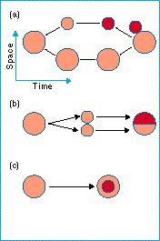 speciation.jpg