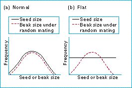 sympatric_speciation.jpg